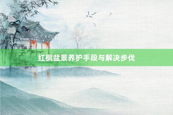 红枫盆景养护手段与解决步伐