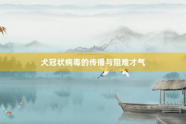 犬冠状病毒的传播与阻难才气